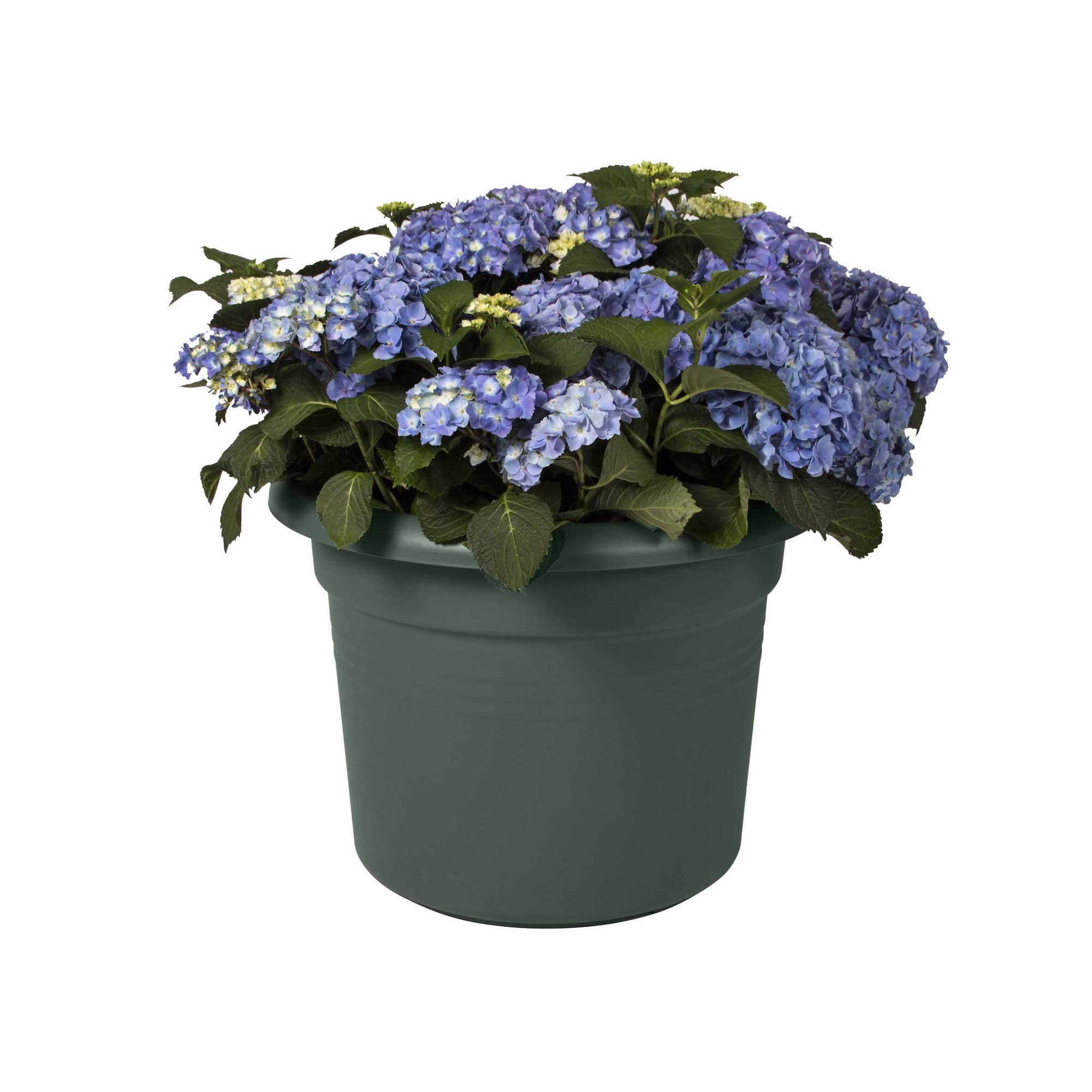 d072bb5995ea11fe594271680700c79e