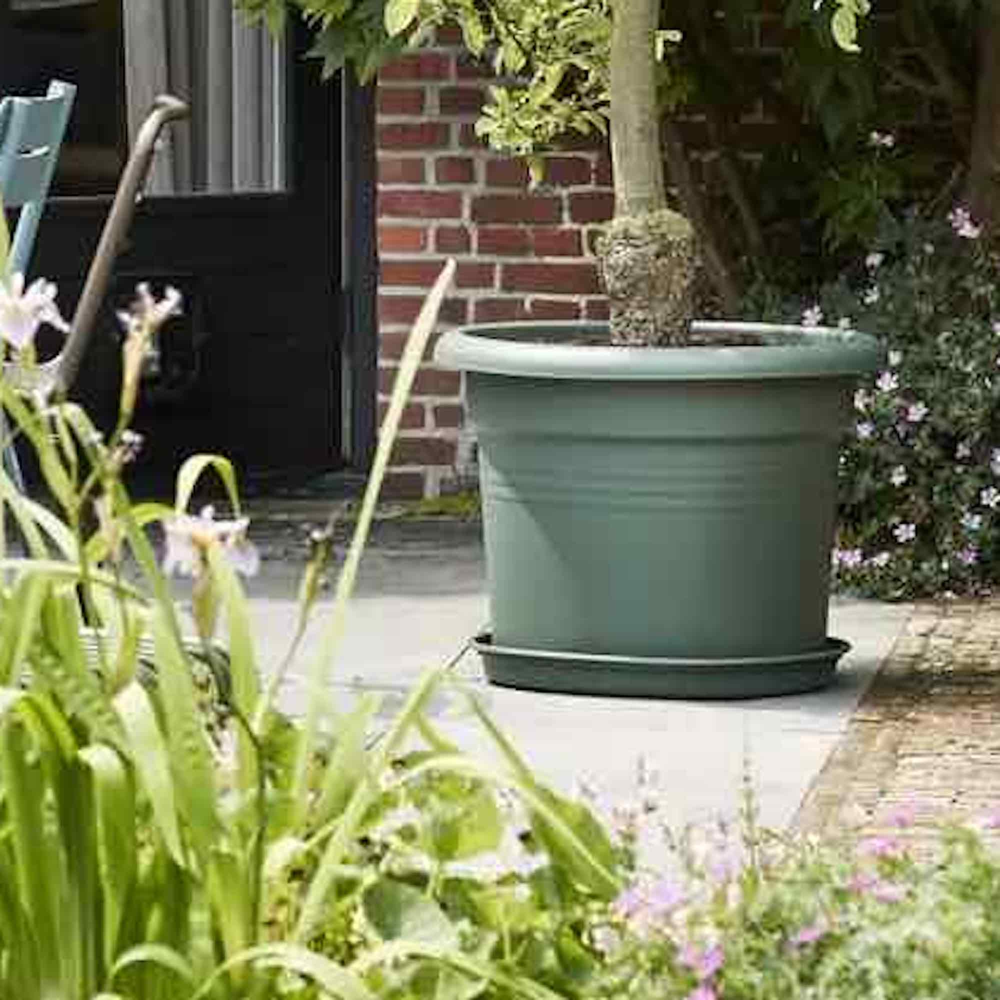 f2ab435e5456f9ce1fc253d55a9c9821