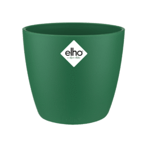 f19950951c6360fa1d43acf7cff51637