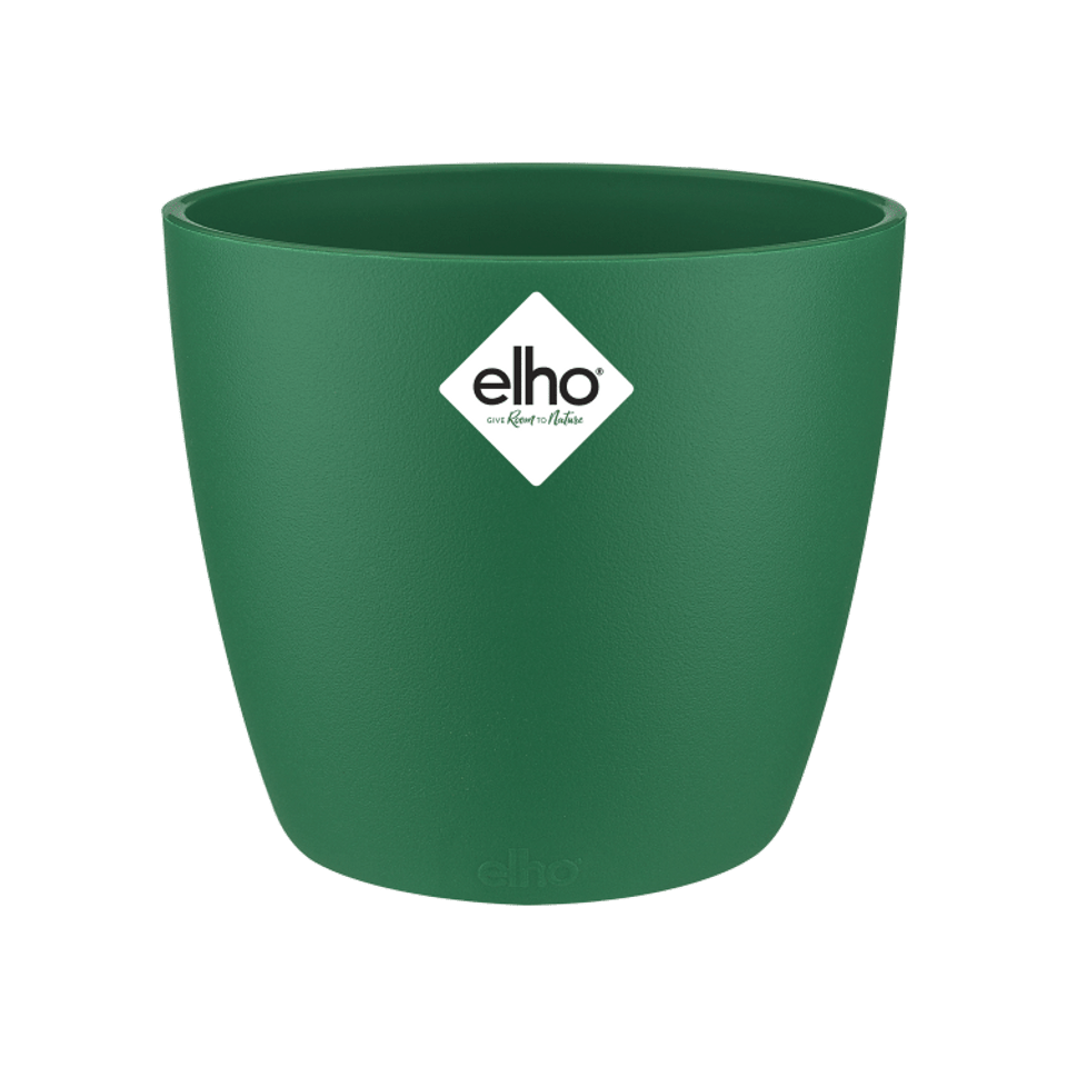 f19950951c6360fa1d43acf7cff51637