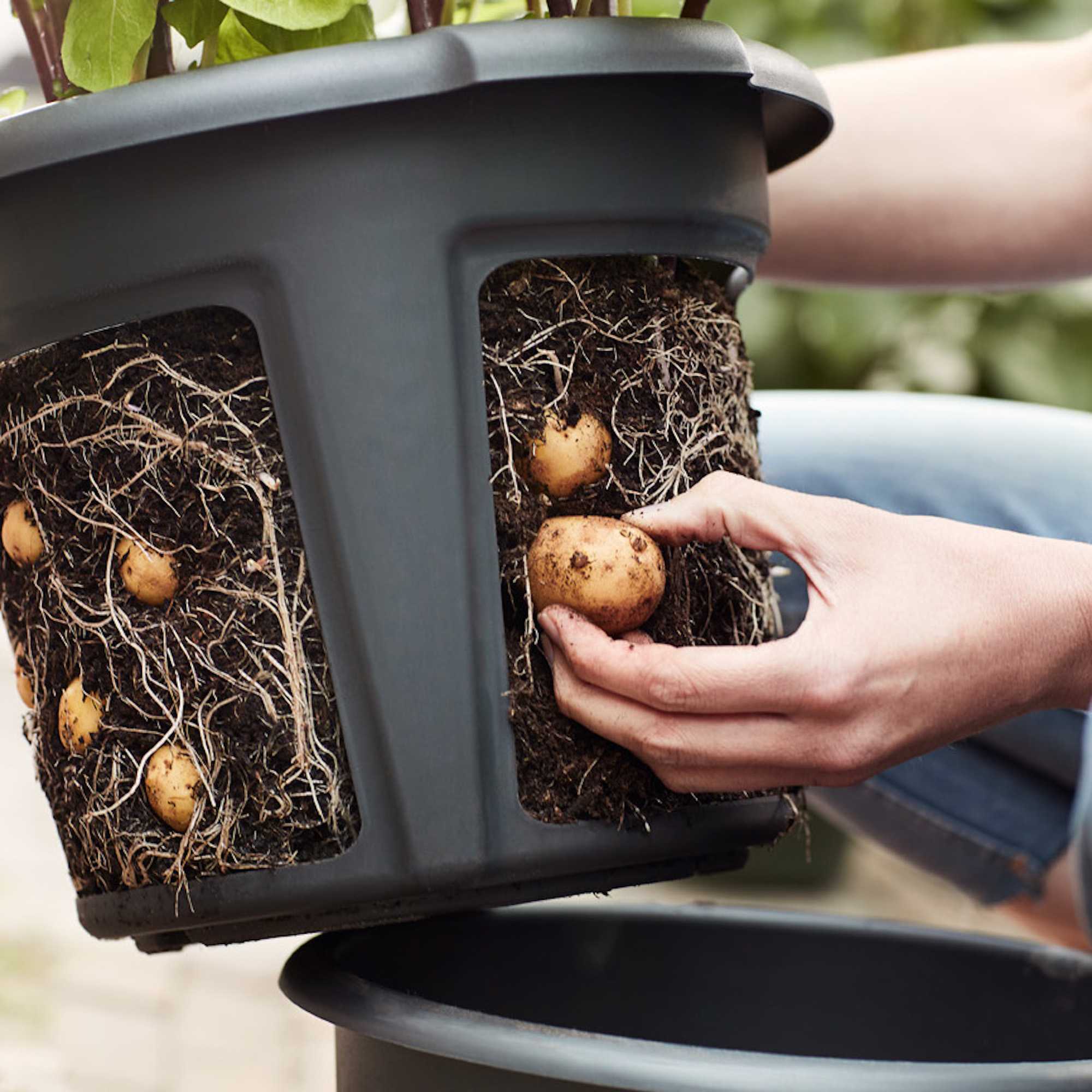 f78d6df1979ed4461971a96d65a5f42e