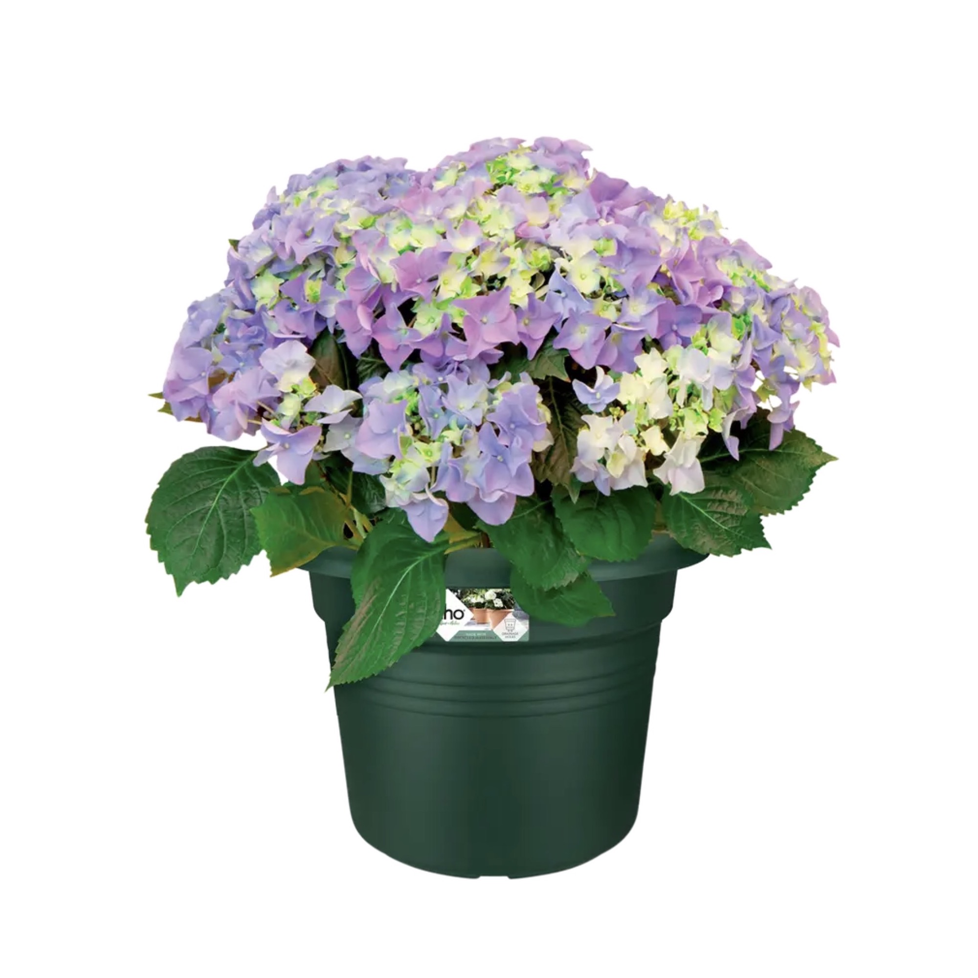 f41ac3152455431d484b3e22a7d45e12