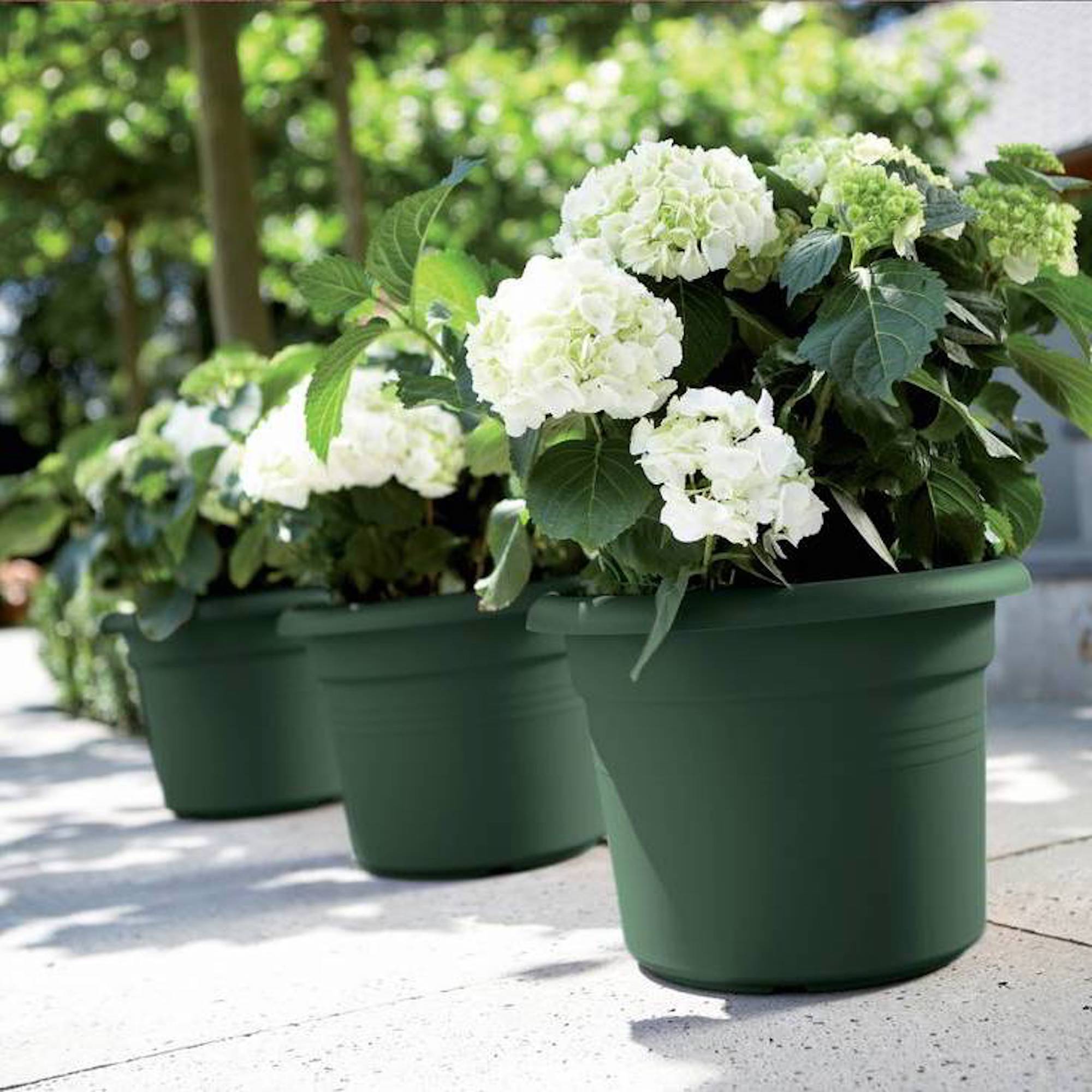 115c8664bd40b64d97a6da54676c489c