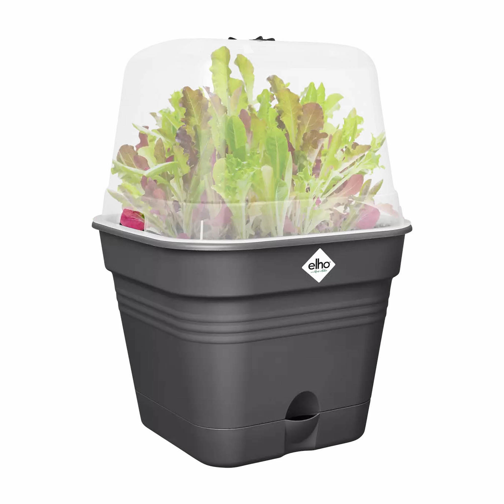 e75f3537e7dc79db2f839a091df762bf