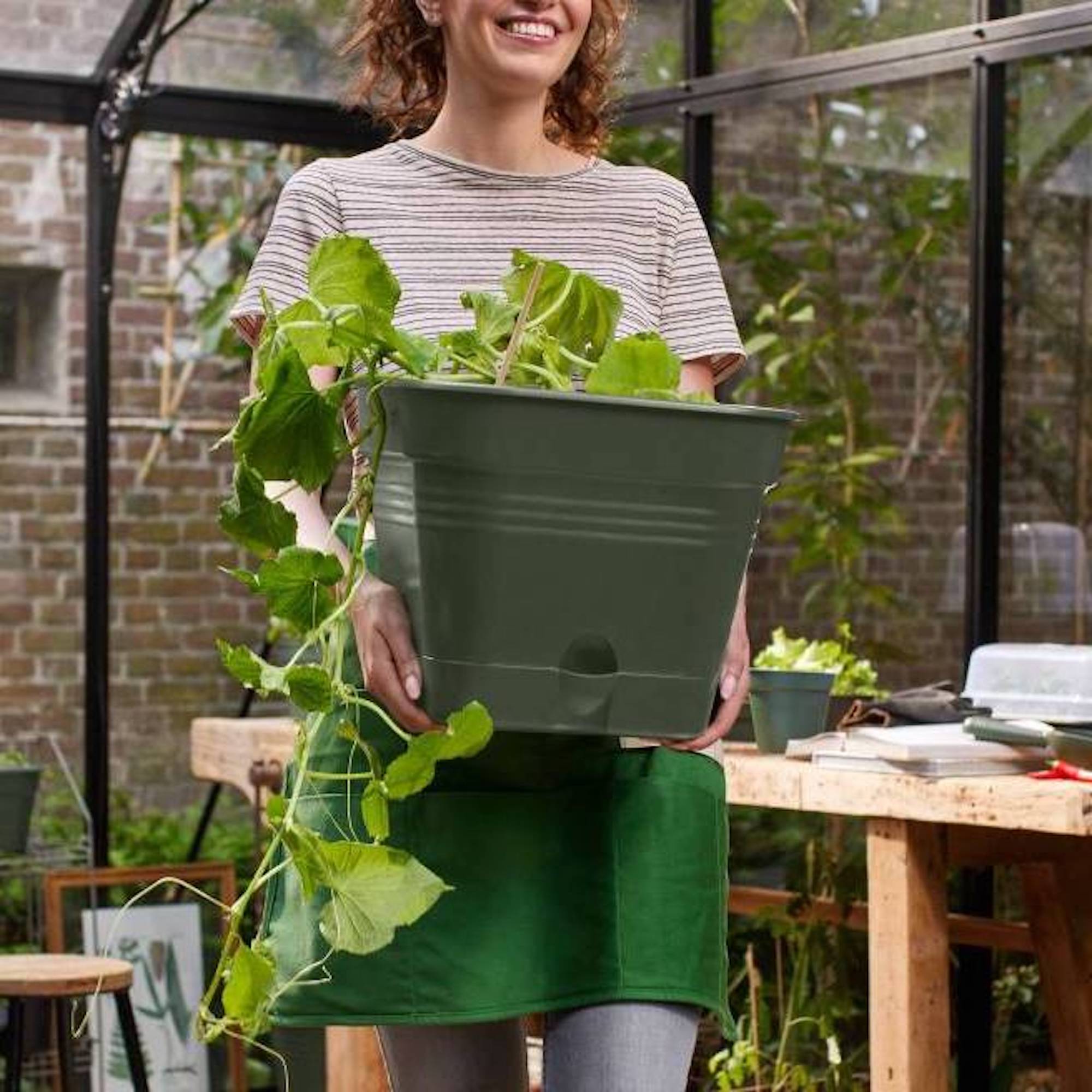 f2b0e5dd5b81a41e648e897ac433c89d