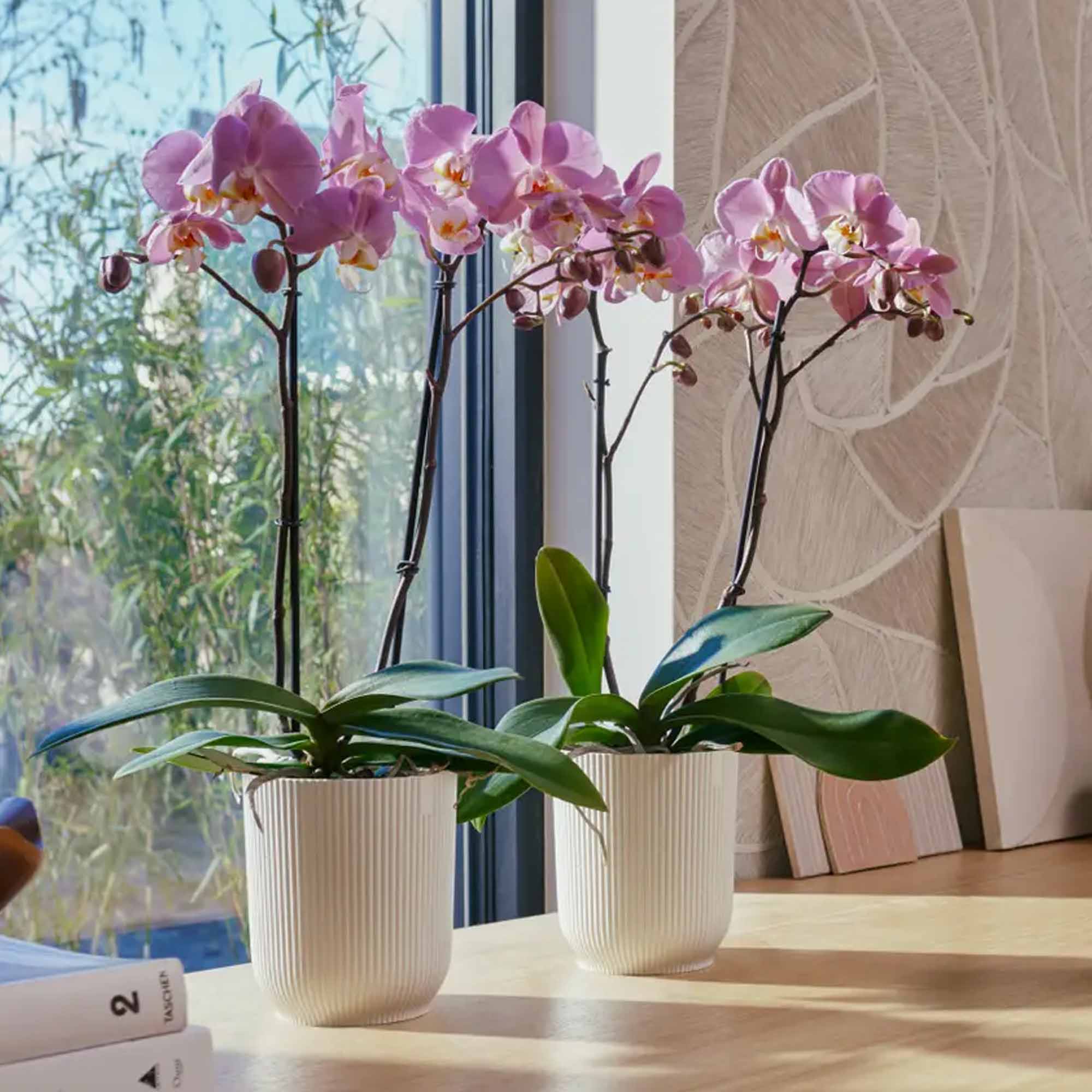 d957fae624a68b4da95bde3cb1aa36bb