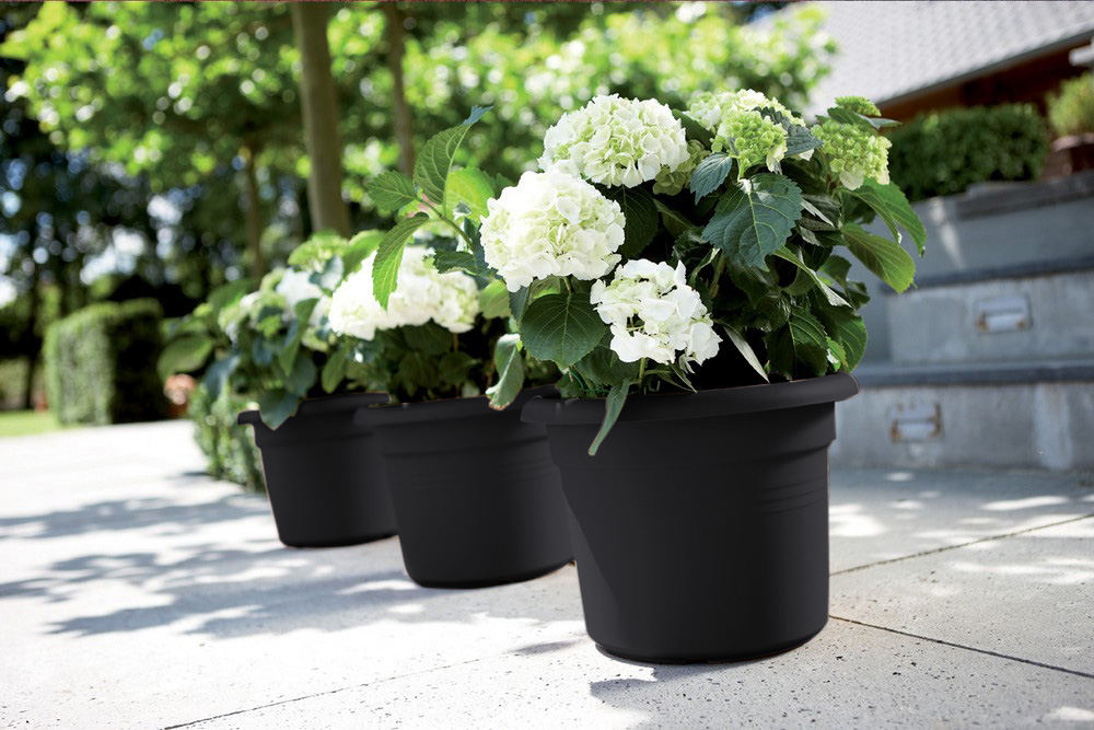 8835ce930cec96784a32b361eefcf892