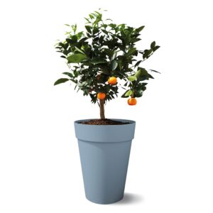 4e0deebe93c607a665cd80709570ca9c