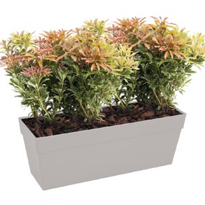 fb72dd4e8e75c226ead949a7ddd99b46