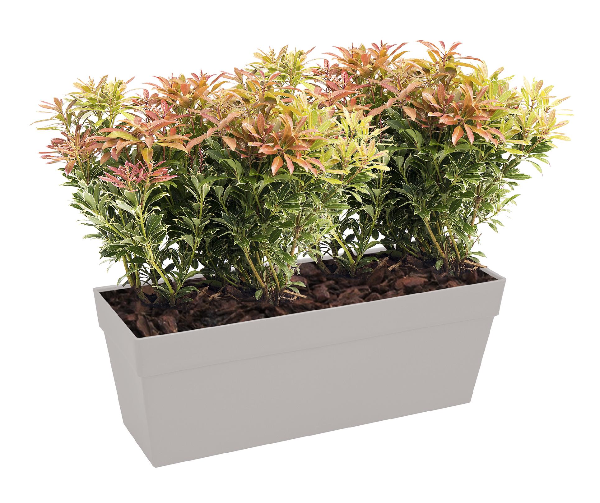 fb72dd4e8e75c226ead949a7ddd99b46