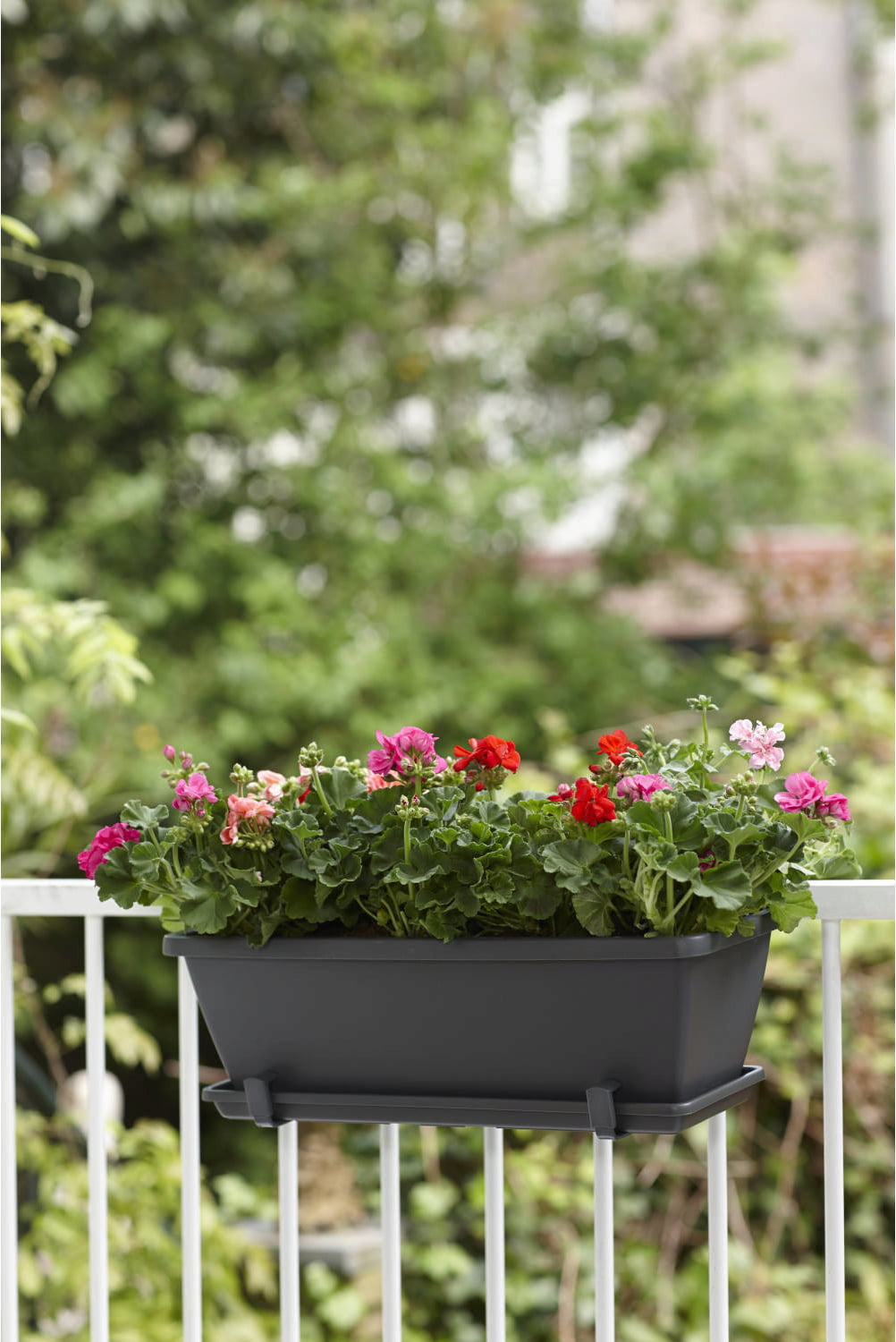 1ec896f605c809b23e7a234308a60786