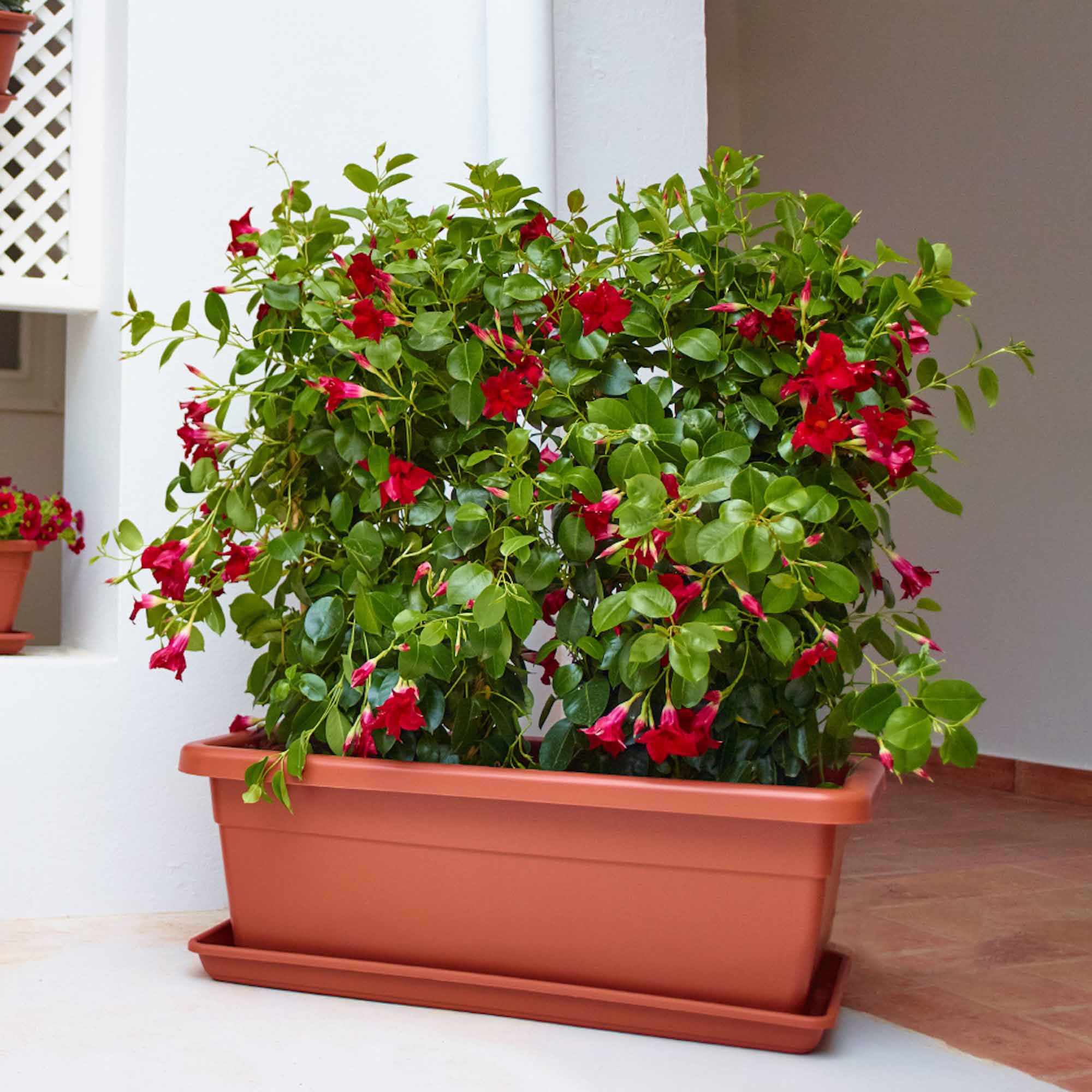 ed7b1e42cfb133134e467c9e3e0bfaec