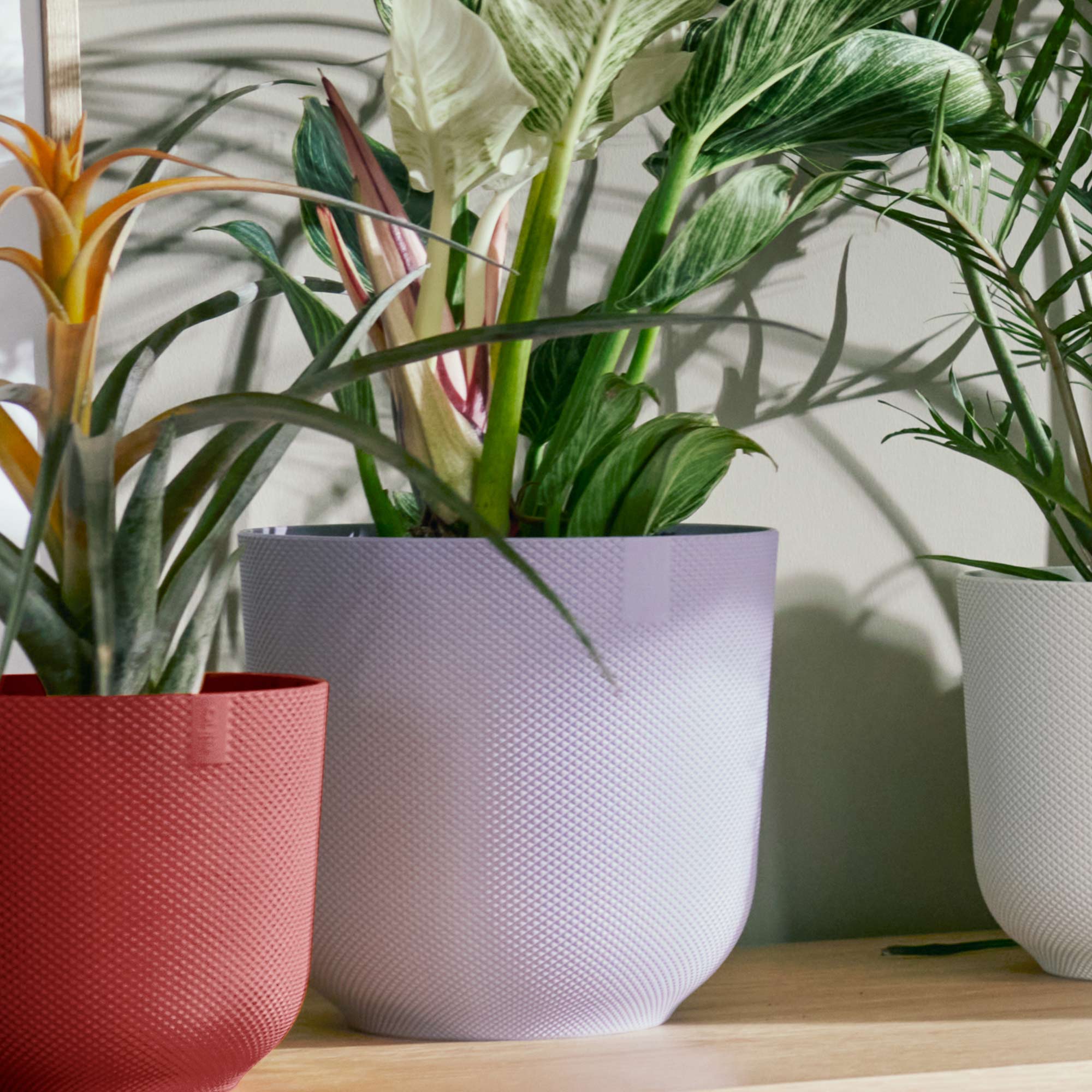 092871e19e0deb2a5182e1e8f378dd24