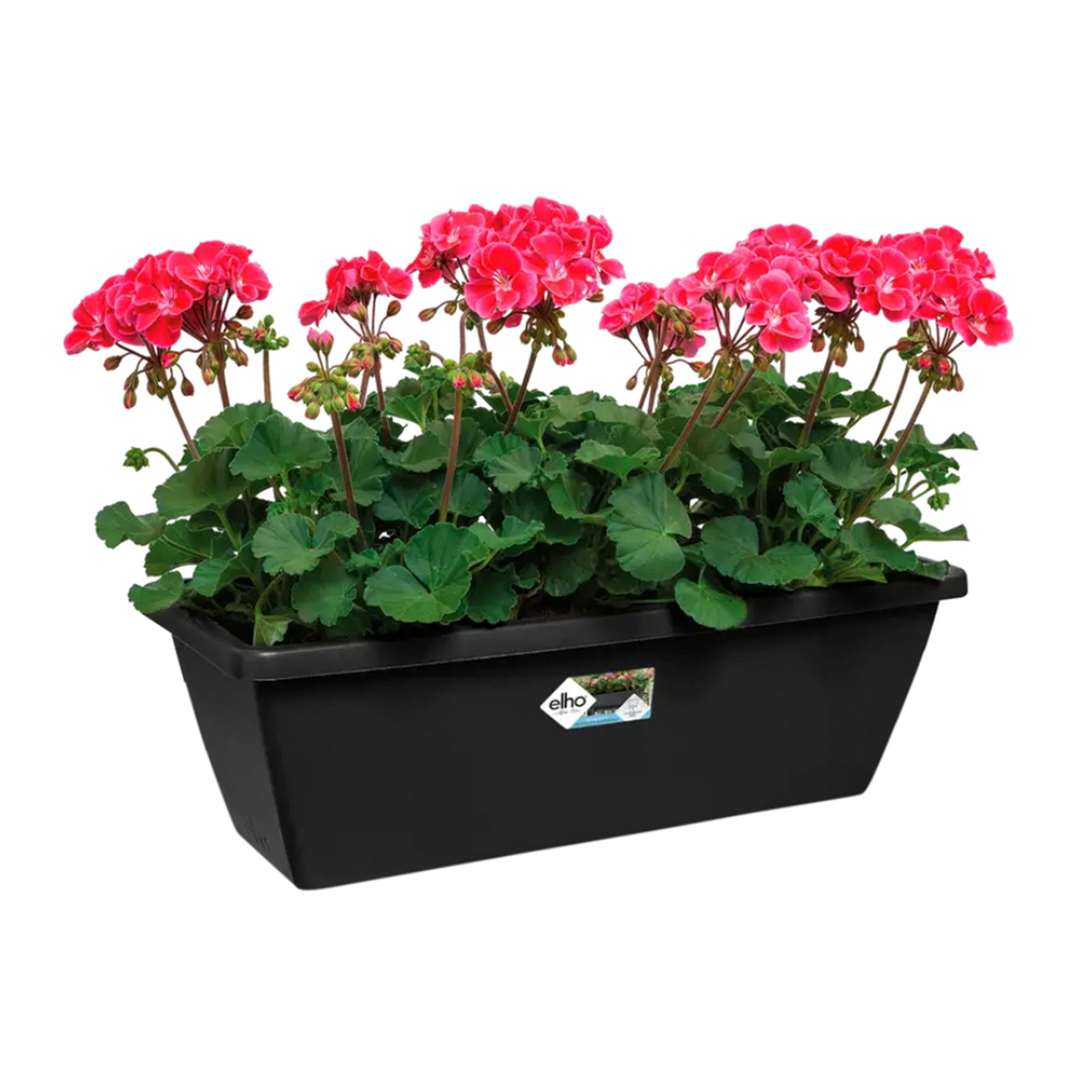 6b00ce84f34f4363f00d82cb8f1d038a