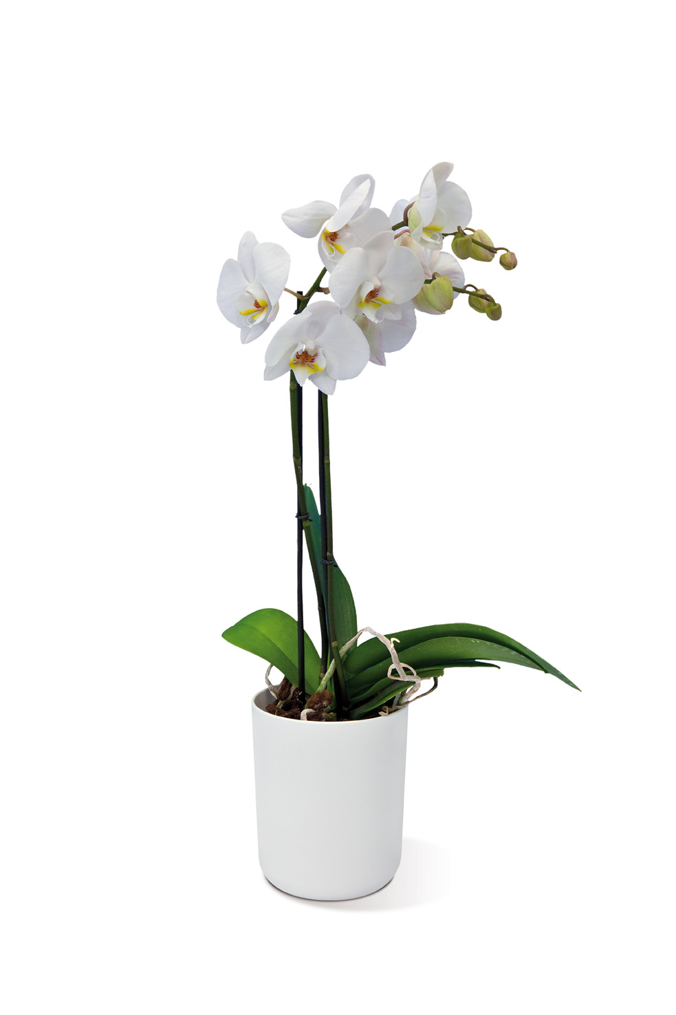 9a1e1d9eefc84cc57d92b4b437e0faea