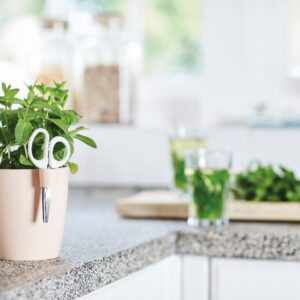 27c47effcfdd5e0531f3a8fda666a944