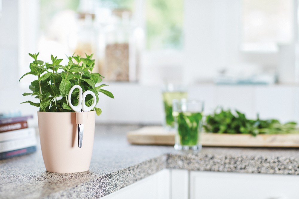 27c47effcfdd5e0531f3a8fda666a944