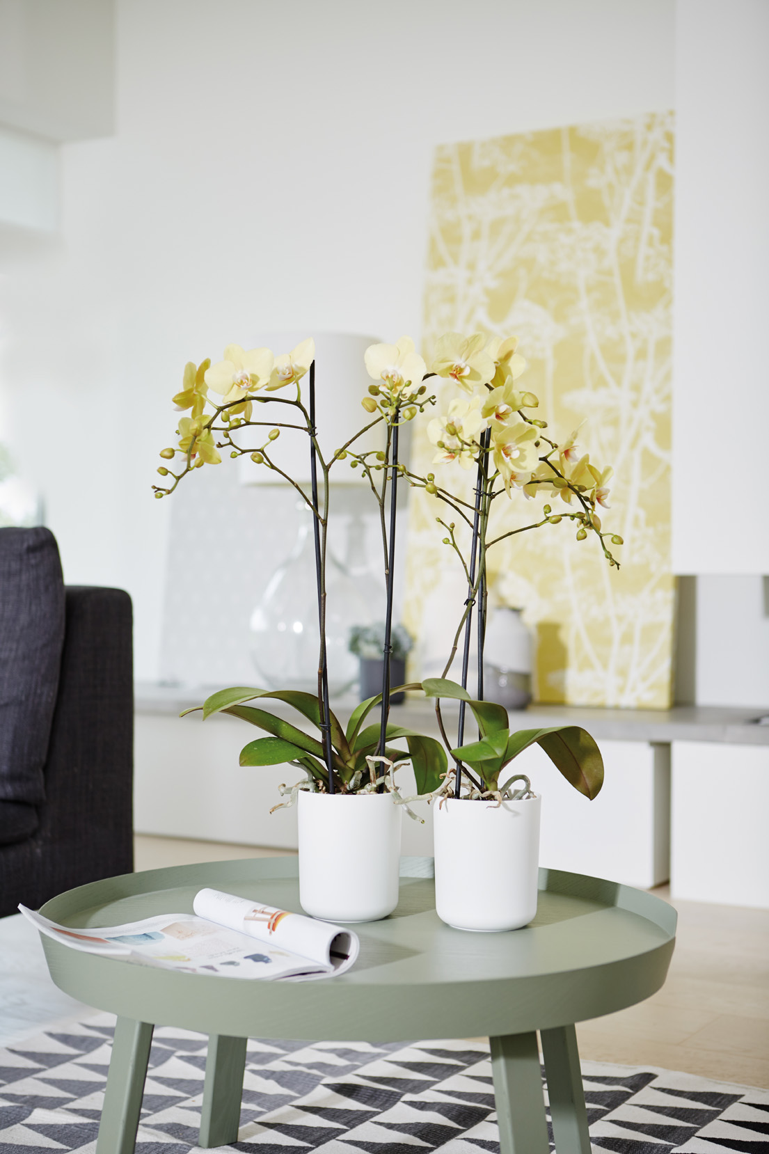 01ab8b7905476294a572eb25b162b34c