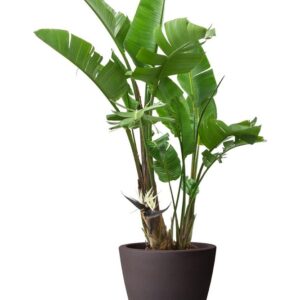 726265cf65f8b241b0f5e89a0708875e