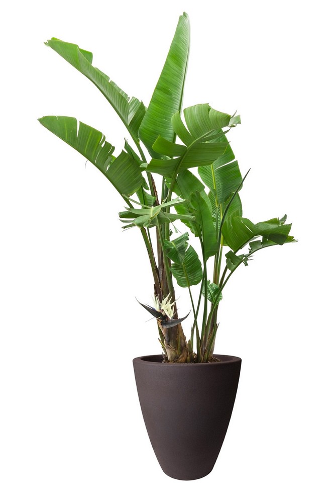 726265cf65f8b241b0f5e89a0708875e