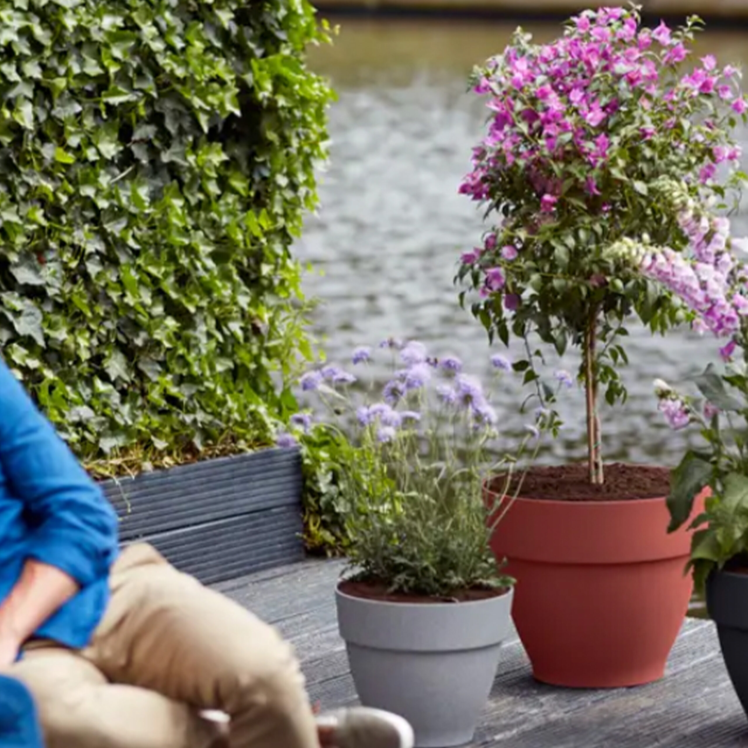 800d8ca7e32def256d0d2e80a52b14f4