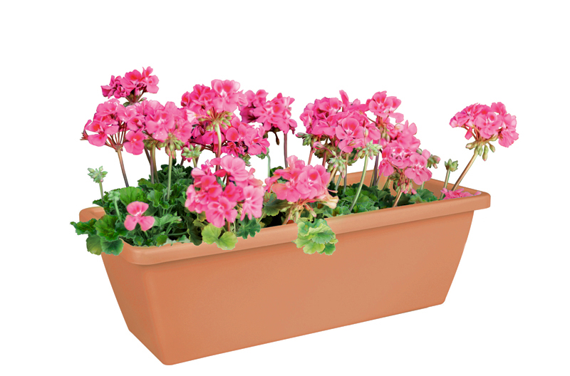 c3e13f28aa22b8341f91c4993a196387