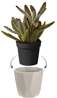 502bc2c89b005e0f7c2f145788a59ea5