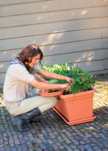 5d8298d48ef1454da6c4f12097377a44