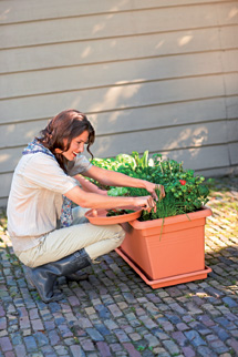 5d8298d48ef1454da6c4f12097377a44