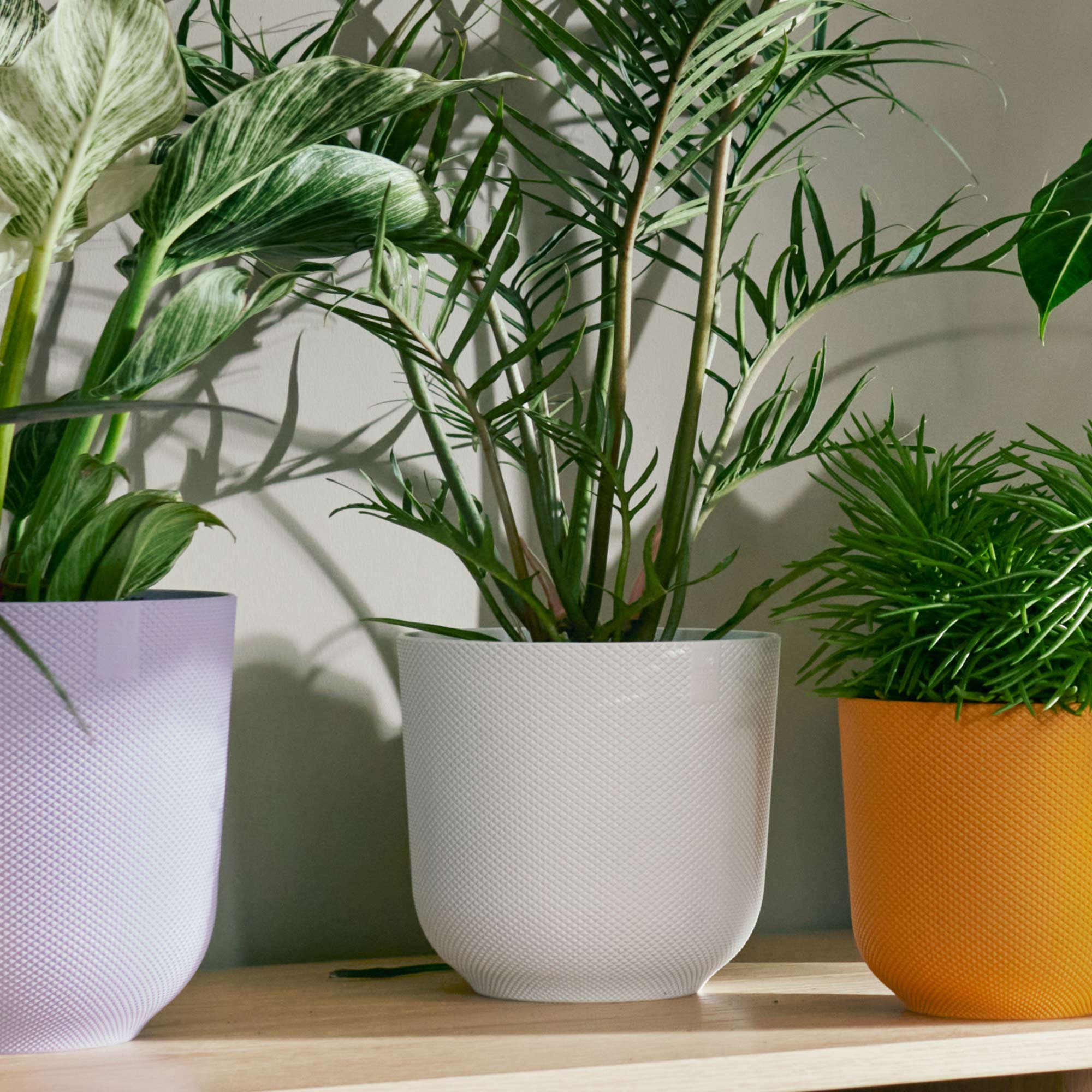 a5f89a14ce1ff21c3adb640d2223987e