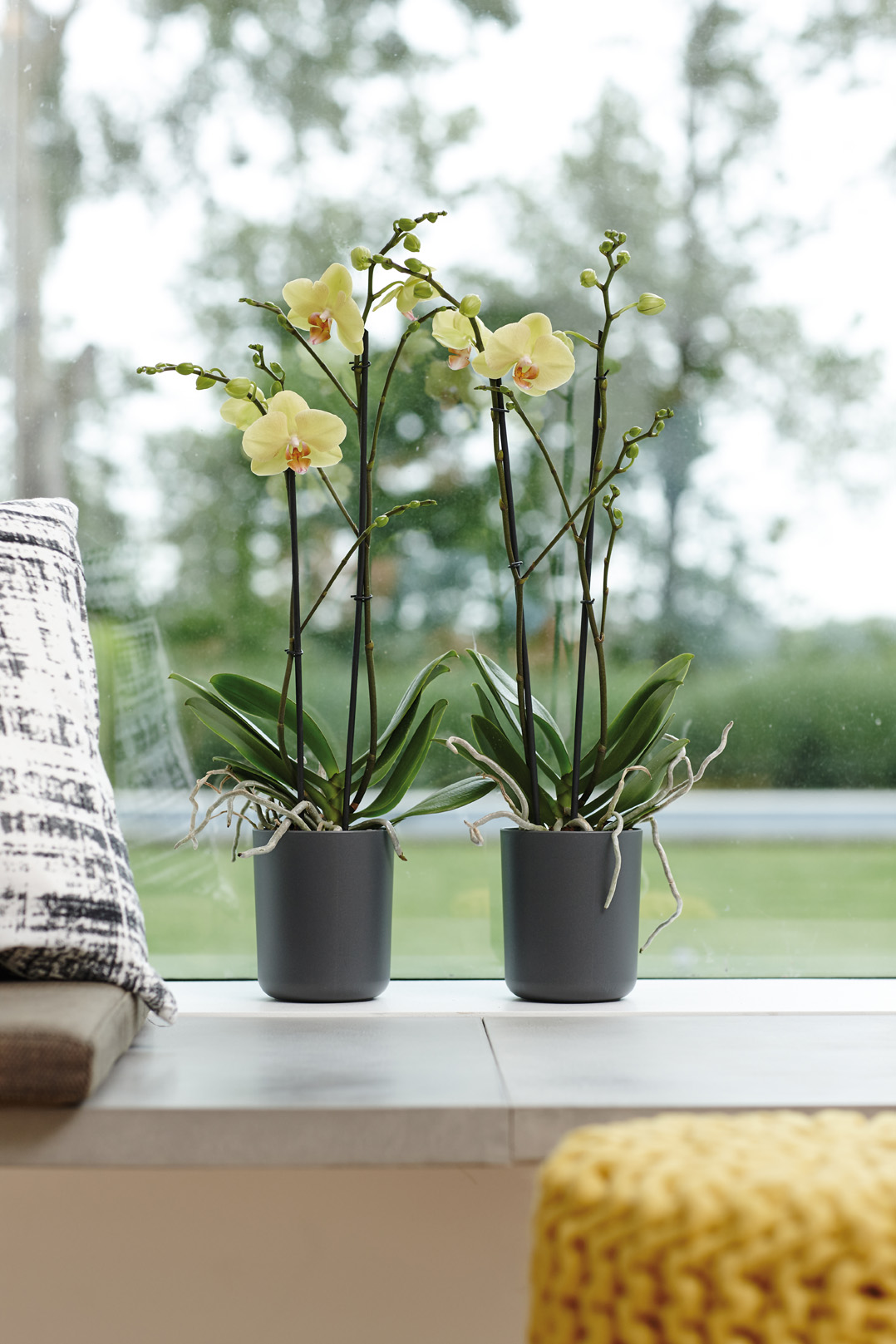 076fa6557ce8294d73b98354bf71151e