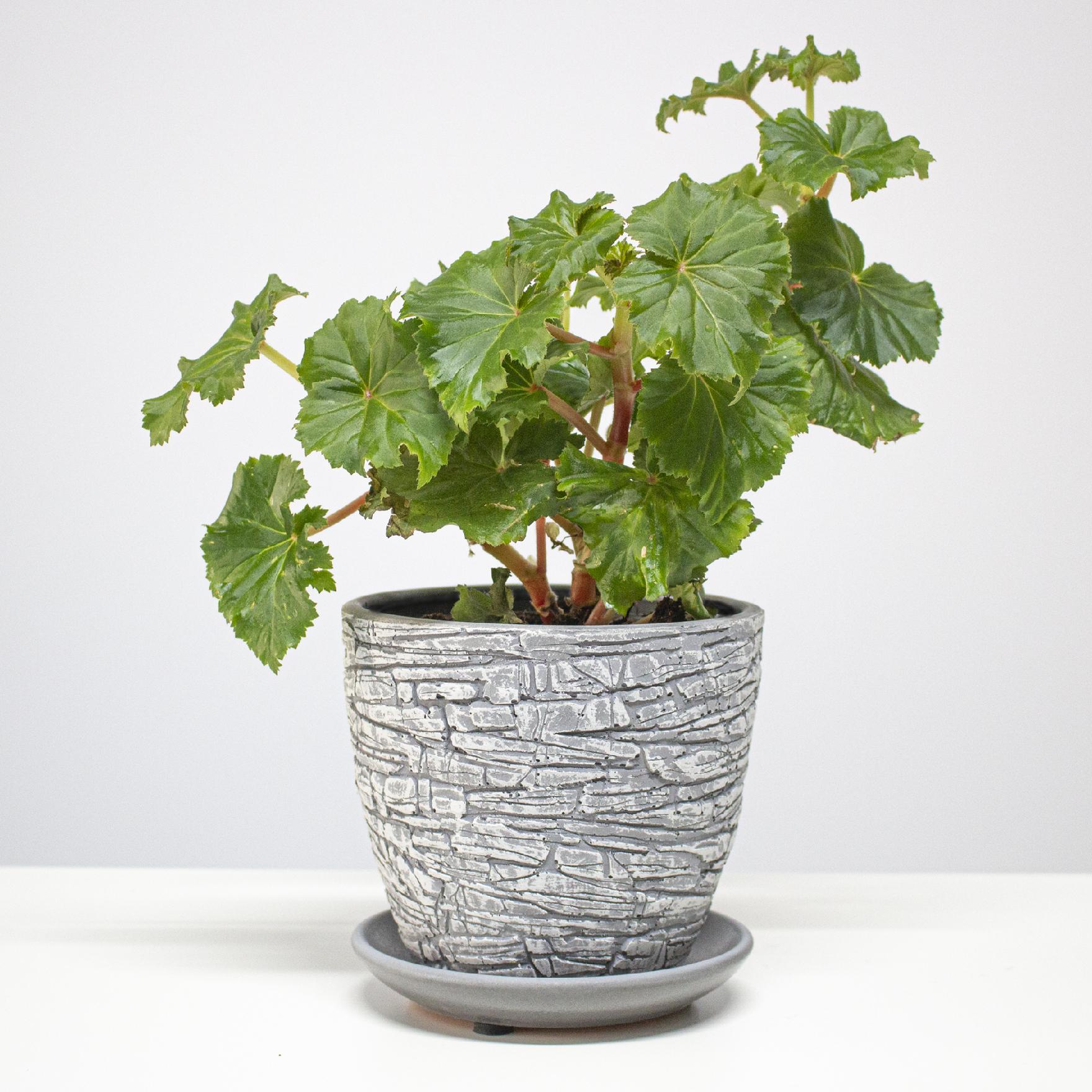 ea1a7e27cb36f189132203464353a722