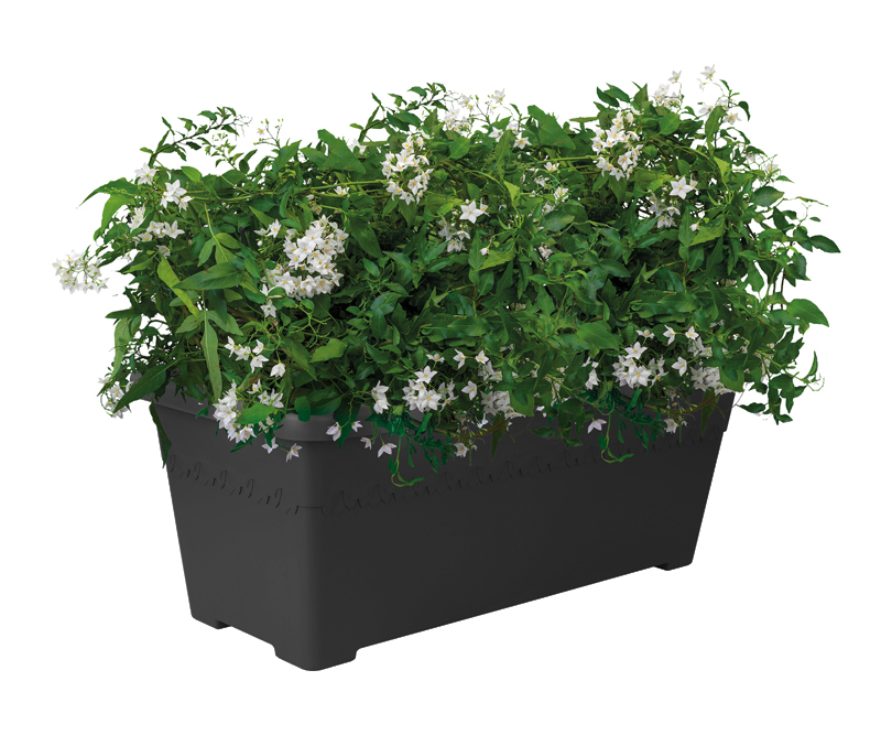 0aef91ed80499e57ea12973e5204002b