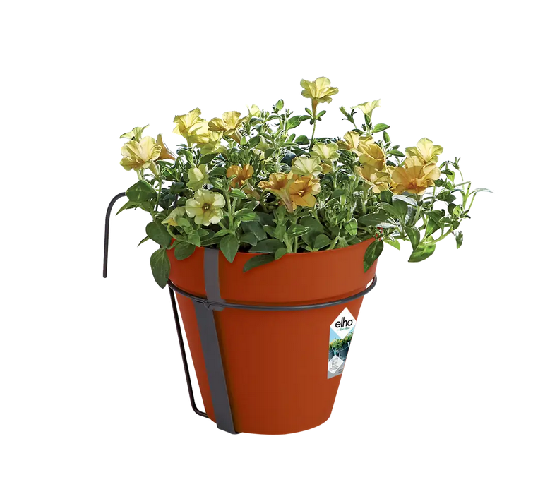 b8f808efd34d1ab50bab69363a2e32ac