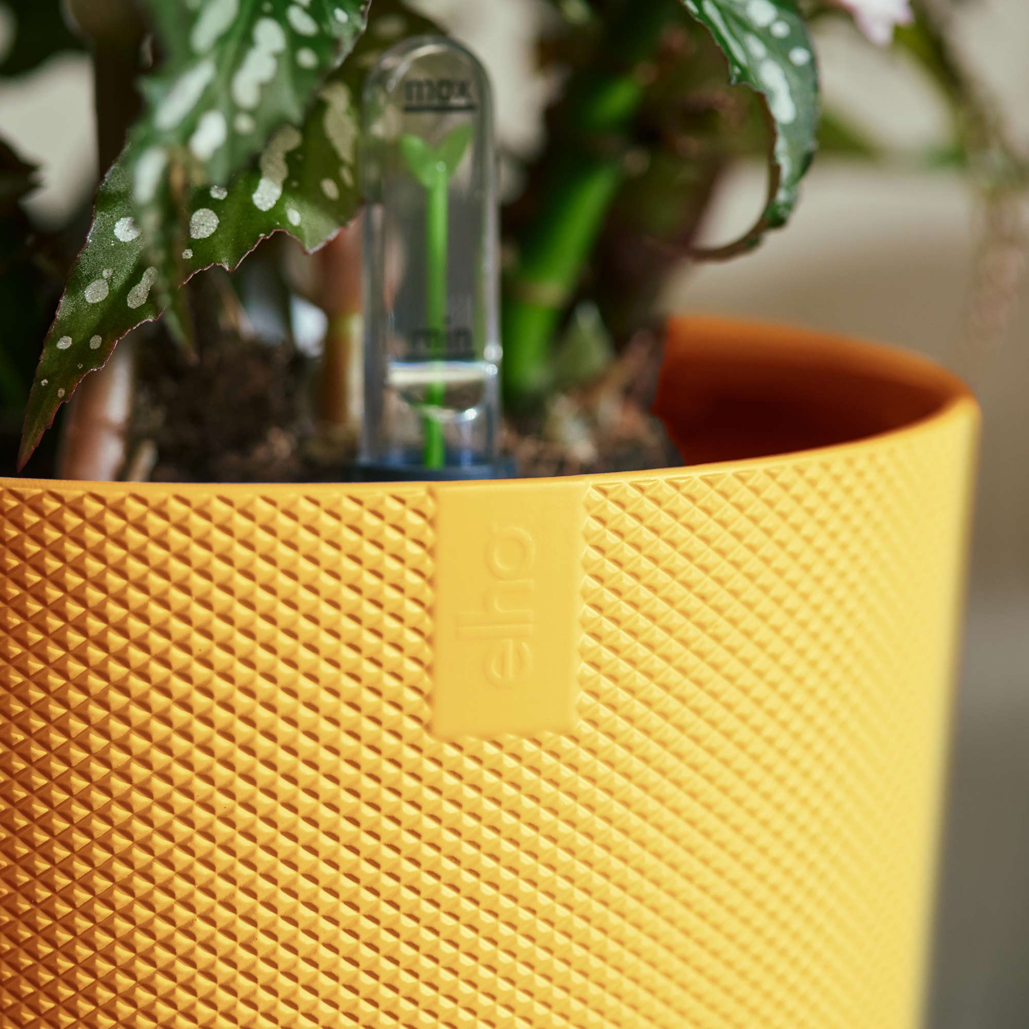 c389efc54dace063bd3429c15c8ed75a