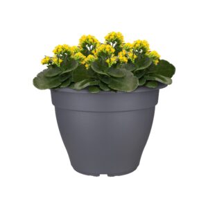 a0d98baaf592a7decf04e9d2324e831d