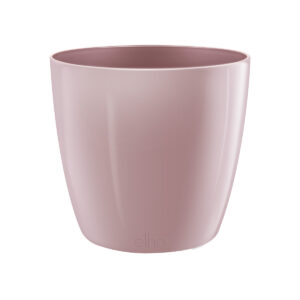 c3b75d06a436d8a11536ee54848c2c39