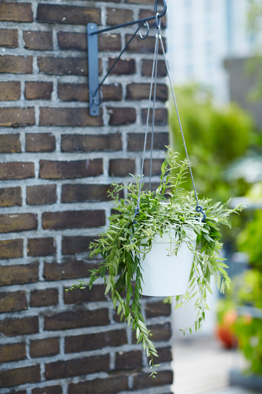 fe666d1c133ec0353ef9898695456ddb