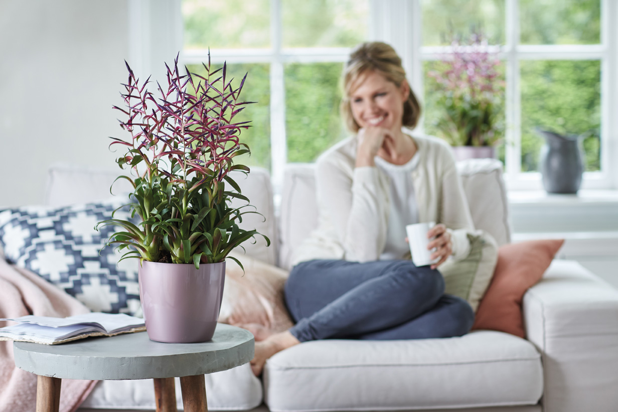 2af129c3af02b978f446c25b0deb2293