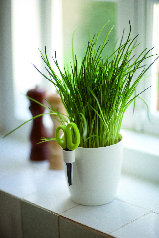 18f5bdb9fffbf7a4bf2e264cec8997cb