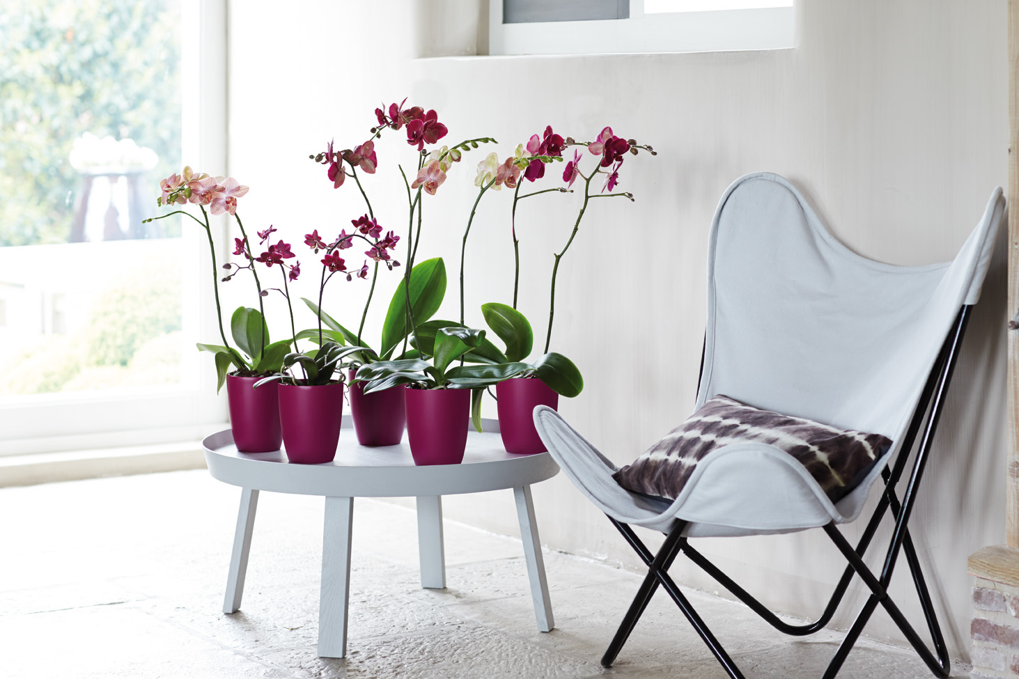 383c2b32501eba9f3cd613a6c047dd68