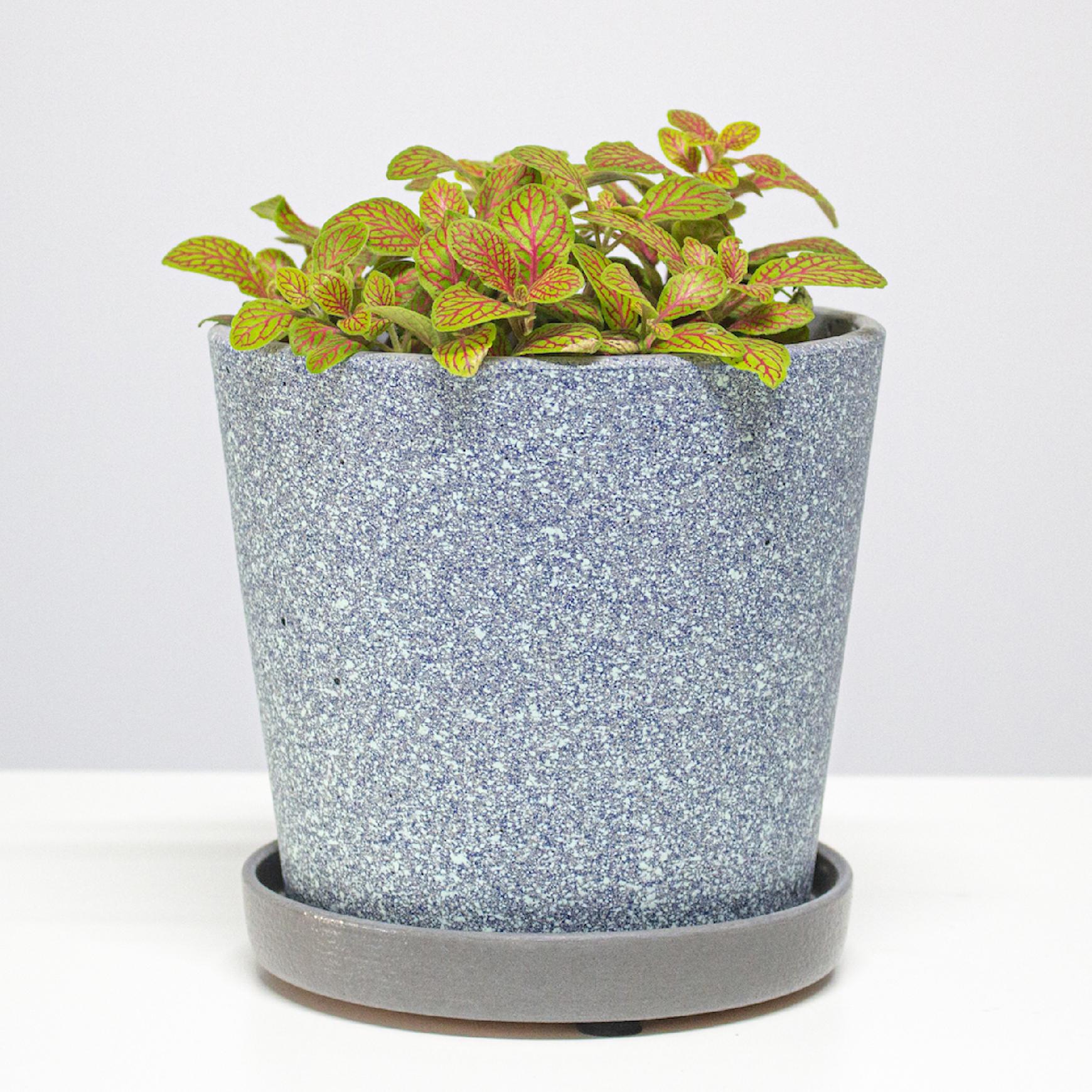 6a1889aa63ada74954860f7fe67ce008