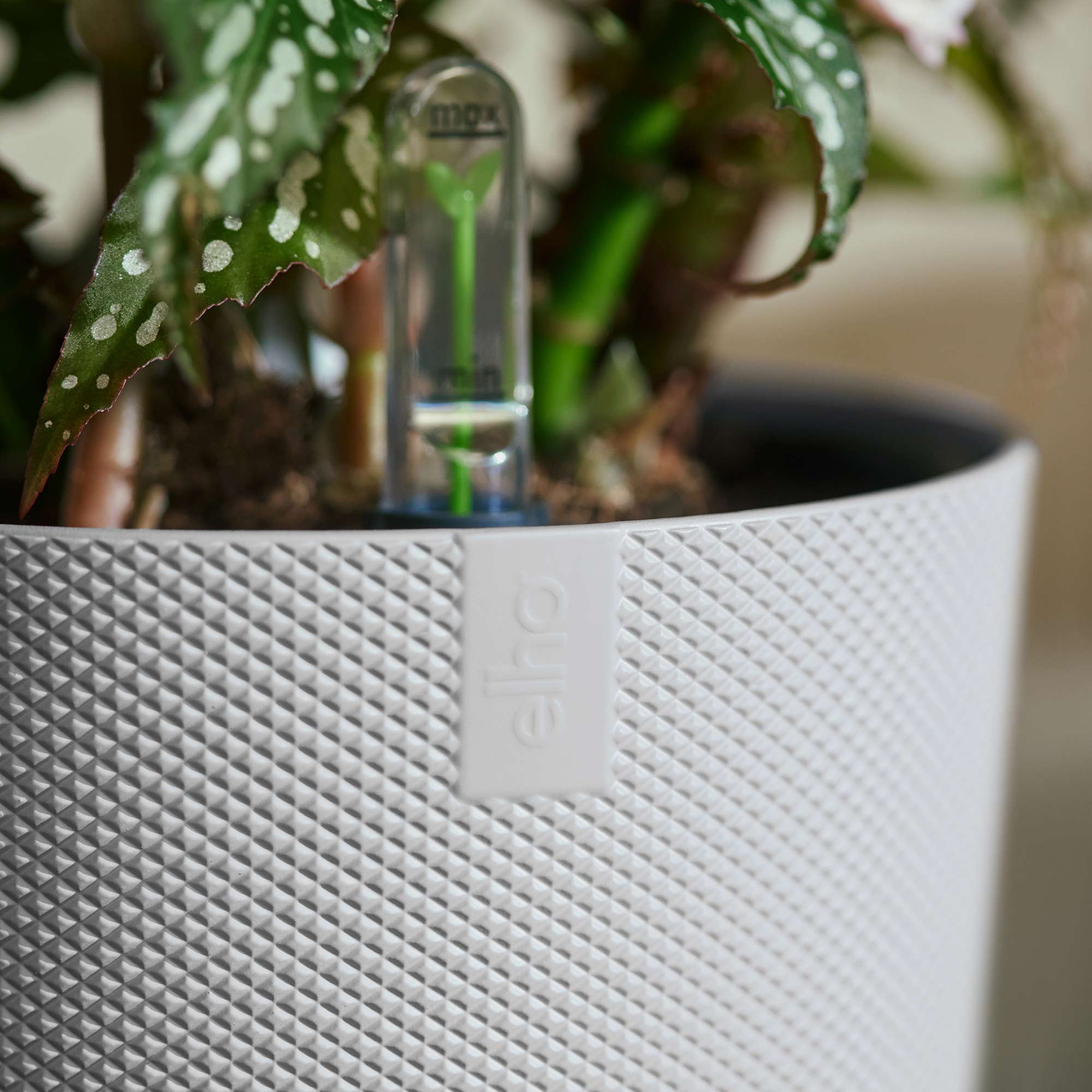 d471f792703f5524e0601ed712a32eee