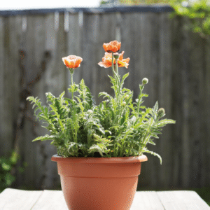 d63d5b360d9191abe86e8415029108cb