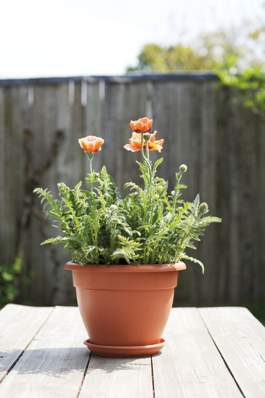 d63d5b360d9191abe86e8415029108cb