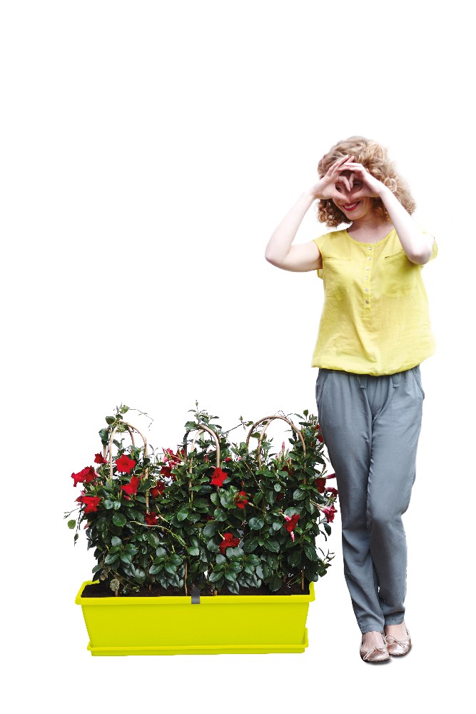 48181c5facd8ede3a1b5483ba202cf6a