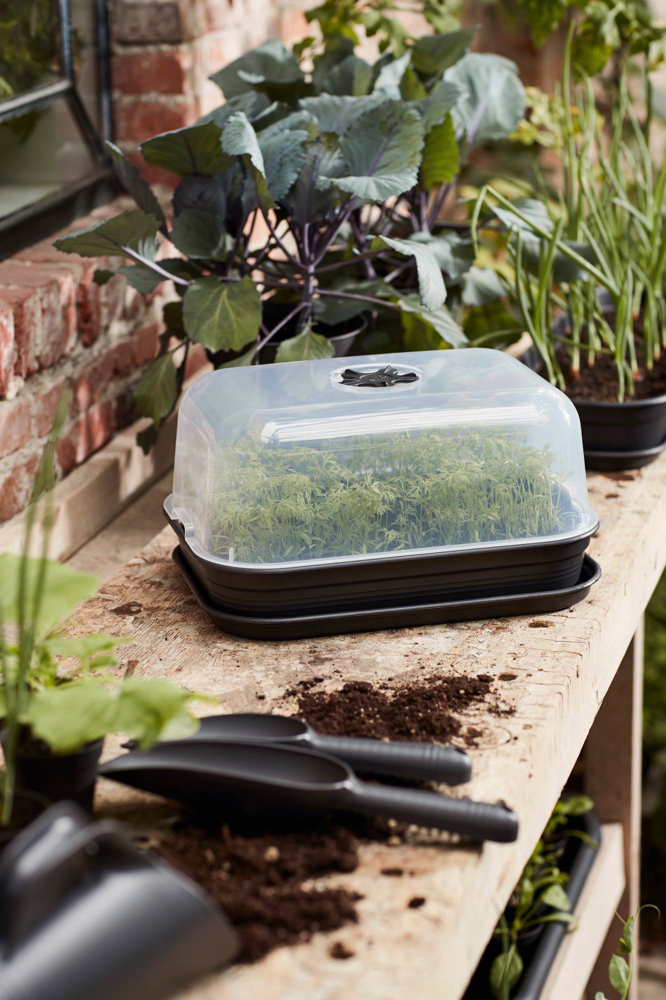 f5ff3b3725aa890bf1bf922aeabaec82