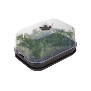 b66046040f961de025a8b6253ea1fe2e