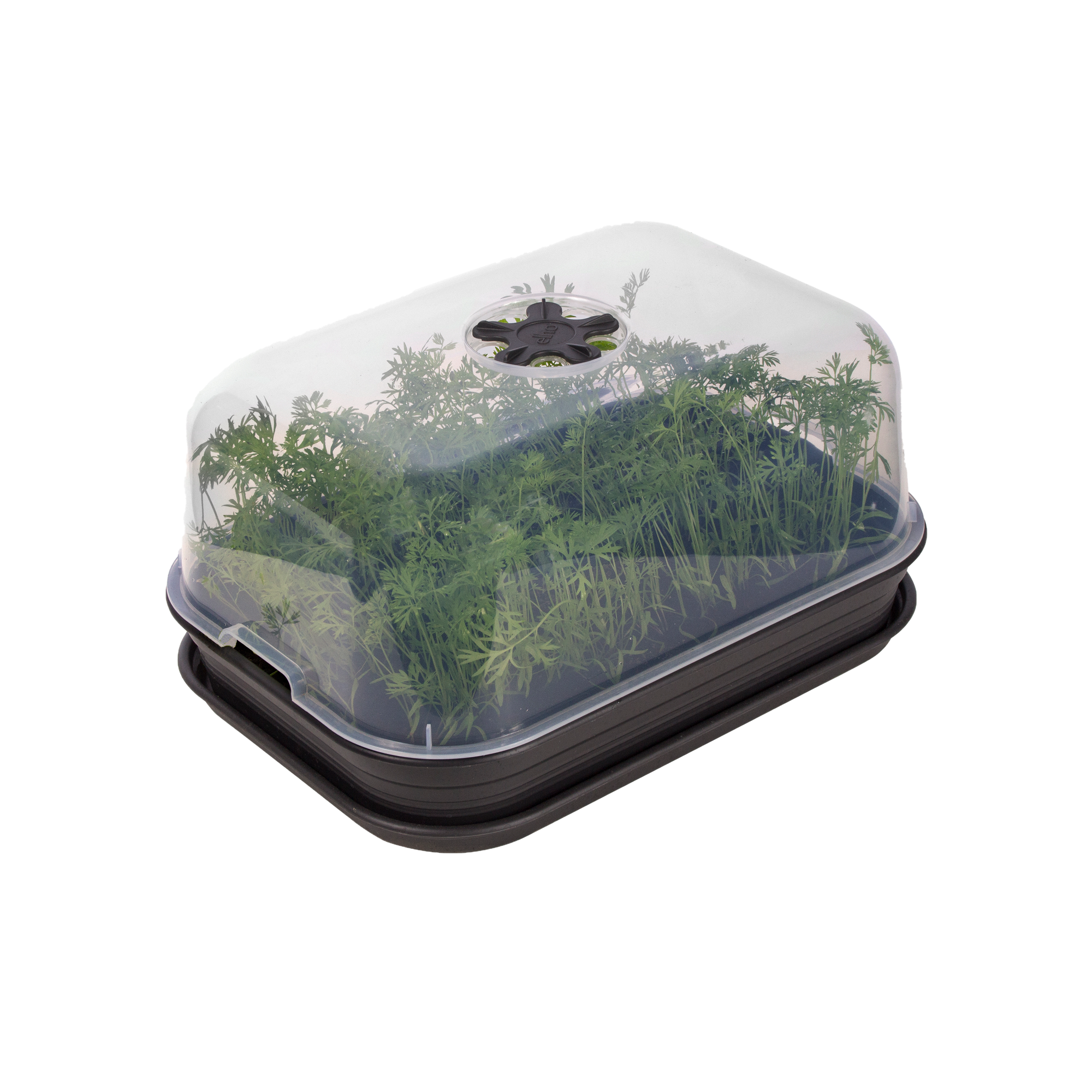 b66046040f961de025a8b6253ea1fe2e