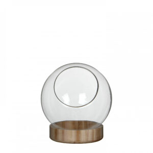 39f8a43c726a9ae73f266fb83e864229